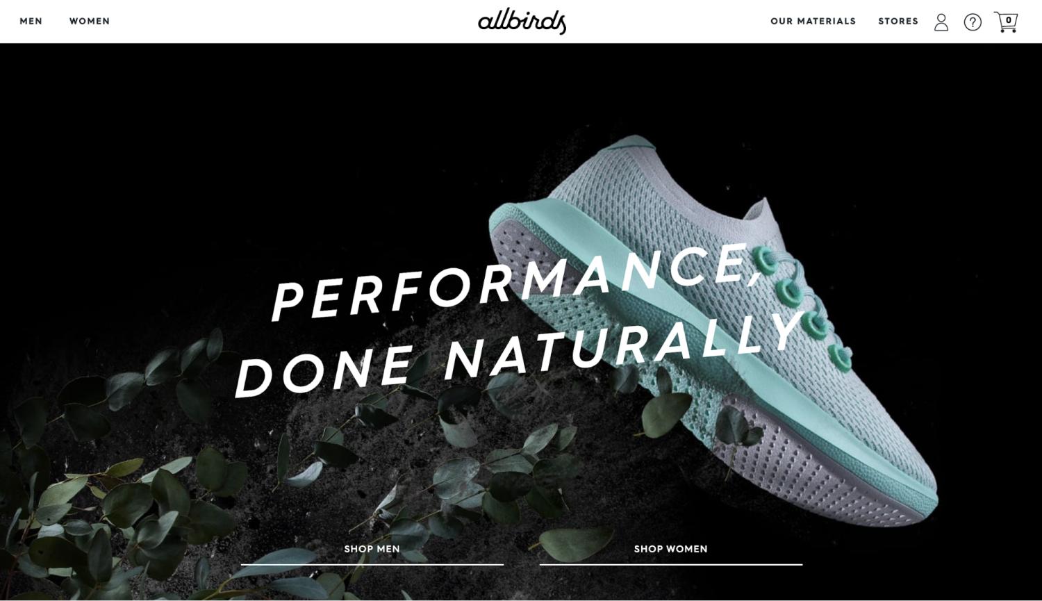 Small Business Website Example: Allbirds