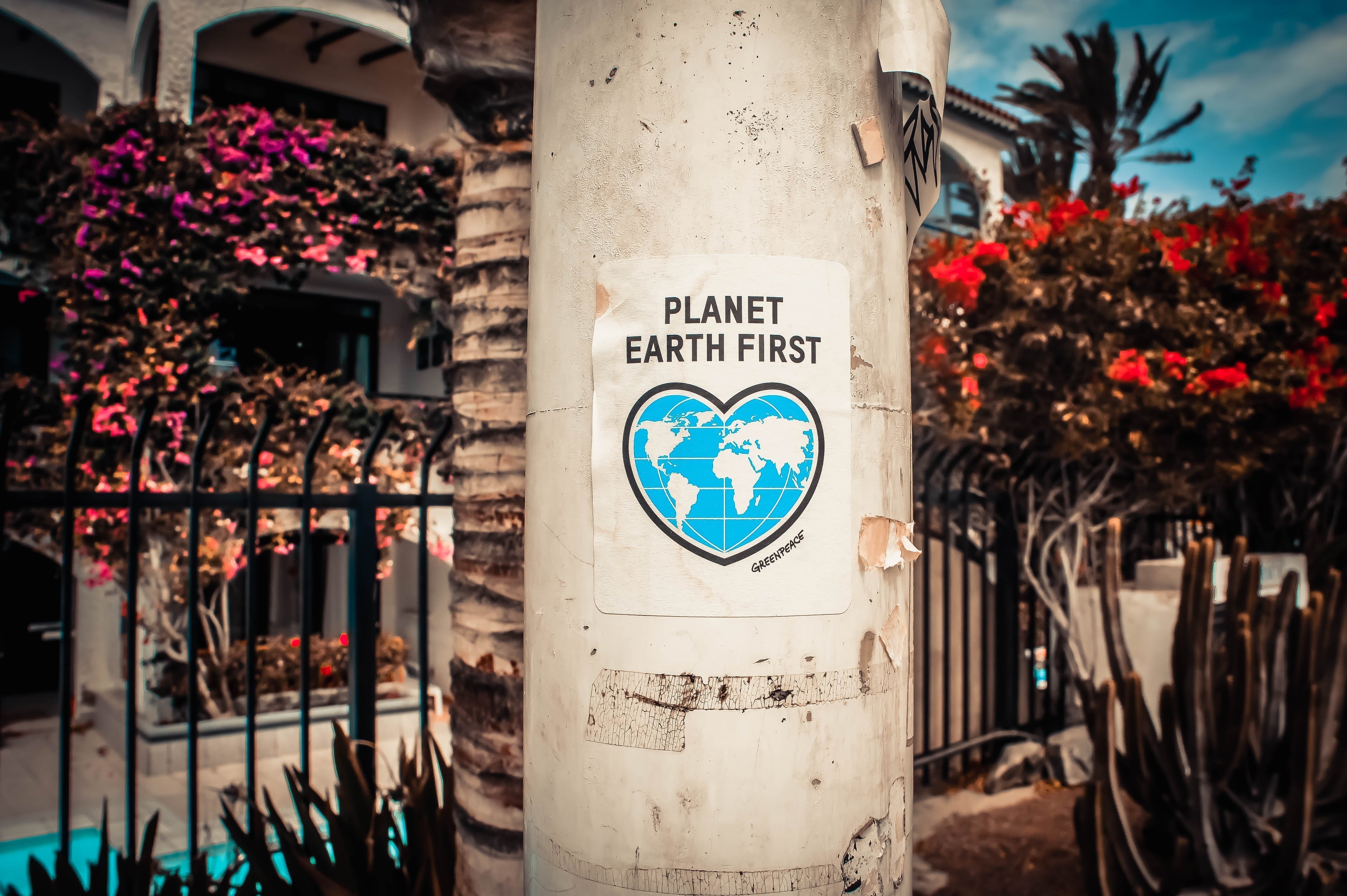 Pole with poster on it saying Planet Earth First